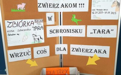 Pomagamy zwierzakom w schronisku „TARA”!