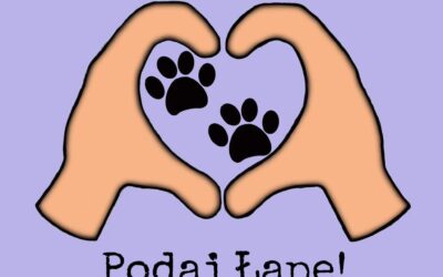 Projekt uczniowski „Podaj łapę”