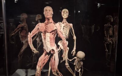 BODY WORLDS