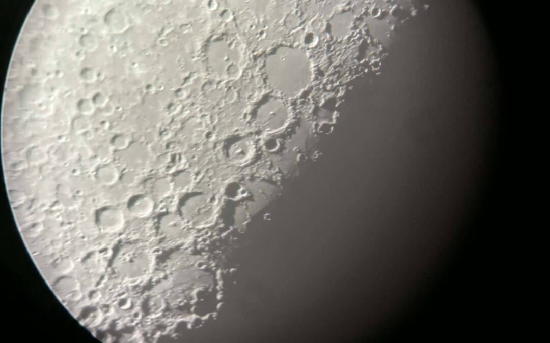 Ossolińczycy ponownie w Białkowie.